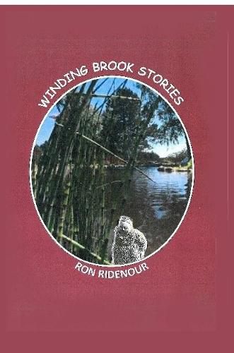 Cover image for Winding Brook Stories