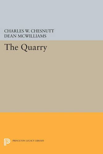 Cover image for The Quarry