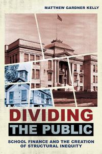 Cover image for Dividing the Public