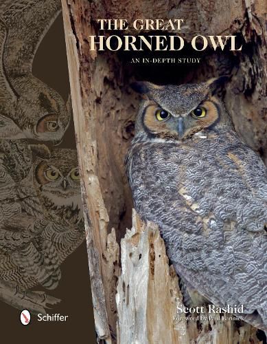 Cover image for Great Horned Owl: An In-depth Study