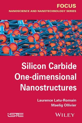 Cover image for Silicon Carbide One-dimensional Nanostructures