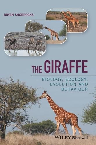 Cover image for The Giraffe - Biology, Ecology, Evolution and Behaviour