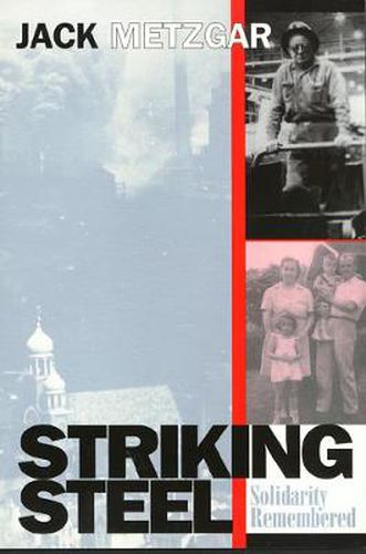 Cover image for Striking Steel