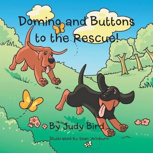 Cover image for Domino and Buttons to the Rescue!