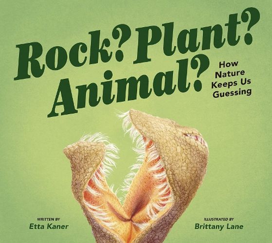 Cover image for Rock? Plant? Animal?: How Nature Keeps Us Guessing