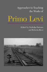 Cover image for Approaches to Teaching the Works of Primo Levi