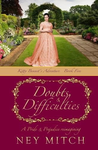 Cover image for Doubts & Difficulties