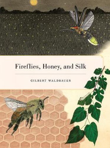 Cover image for Fireflies, Honey, and Silk