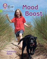 Cover image for Mood Boost: Phase 4 Set 2 Stretch and Challenge