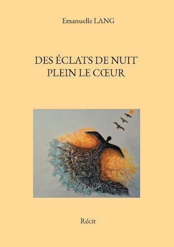 Cover image for Des eclats de nuit plein le coeur