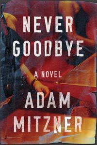 Cover image for Never Goodbye