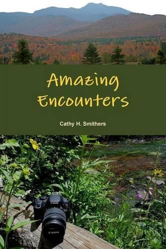 Cover image for Amazing Encounters