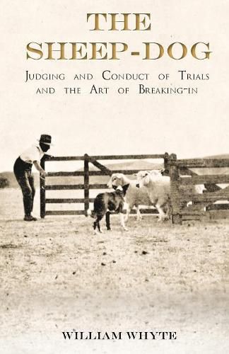 Cover image for The Sheep-Dog - Judging and Conduct of Trials and the Art of Breaking-in;A Comprehensive and Practical Text-Book Dealing with the System of Judging Sheep-Dog Trials in New Zealand and Type on the Show Bench, and with the General Management and Conduct of Trial