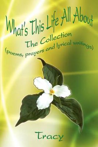 Cover image for What's This Life All about: the Collection (Poems, Prayers and Lyrical Writings)