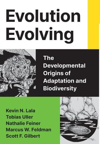 Cover image for Evolution Evolving