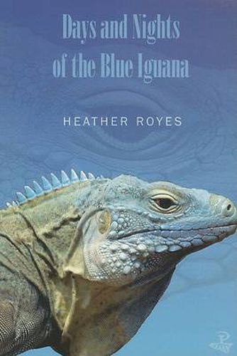 Cover image for Days and Nights of the Blue Iguana