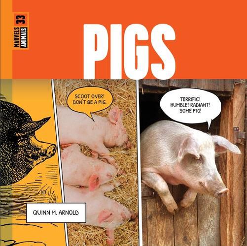 Cover image for Pigs