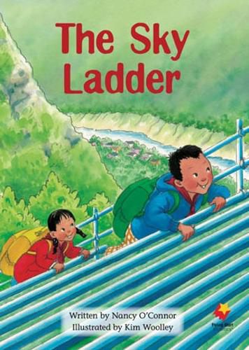 Cover image for The Sky Ladder