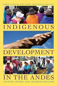 Cover image for Indigenous Development in the Andes: Culture, Power, and Transnationalism