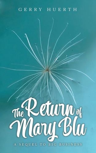 Cover image for The Return of Mary Blu