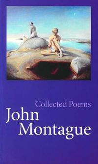 Cover image for Collected Poems John Montague