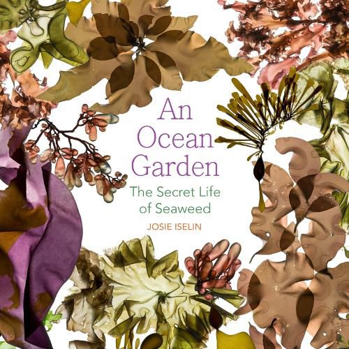 Cover image for An Ocean Garden