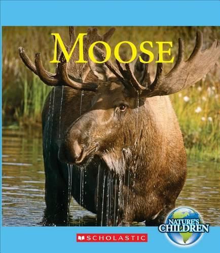 Cover image for Moose