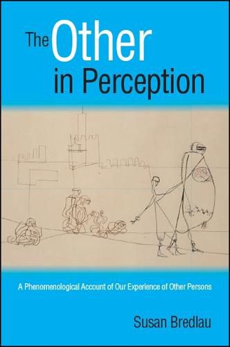 Cover image for The Other in Perception: A Phenomenological Account of Our Experience of Other Persons