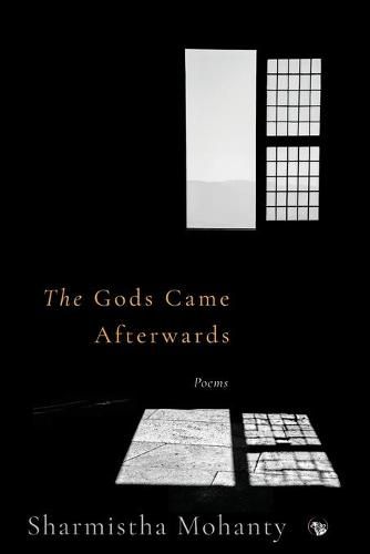 Cover image for The Gods Came Afterwards