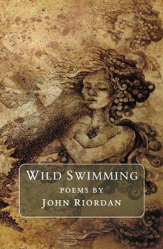 Cover image for Wild Swinning