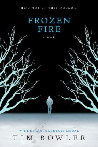 Cover image for Frozen Fire