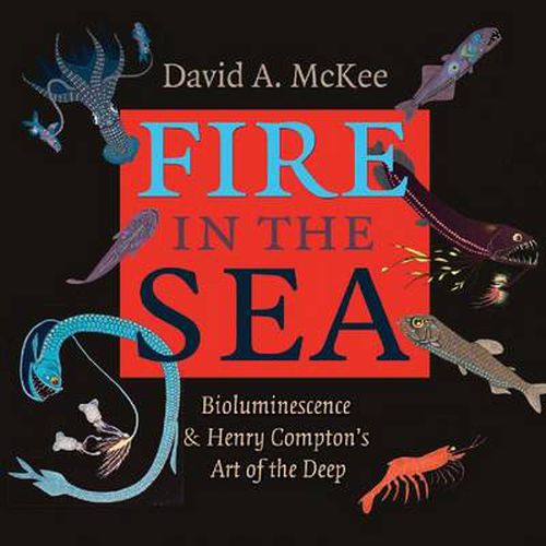 Fire in the Sea: Bioluminescence and Henry Compton's Art of the Deep