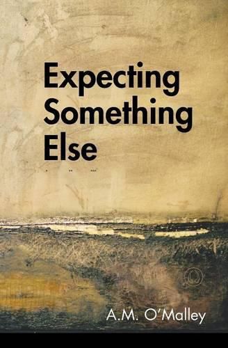 Cover image for Expecting Something Else