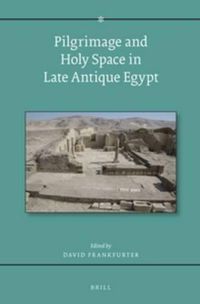 Cover image for Pilgrimage and Holy Space in Late Antique Egypt