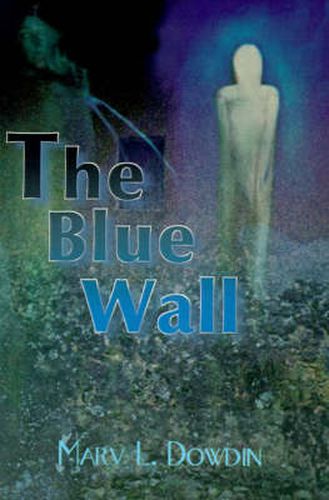 Cover image for The Blue Wall