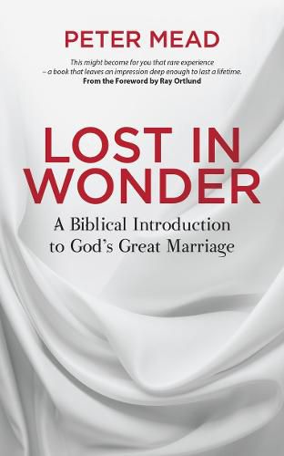 Cover image for Lost in Wonder: A Biblical Introduction to God's Great Marriage