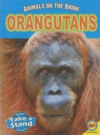 Cover image for Orangutans