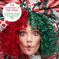 Cover image for Everyday Is Christmas