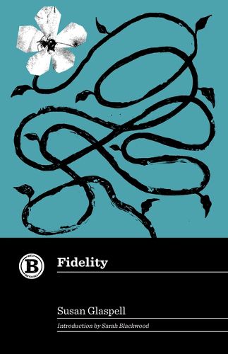 Cover image for Fidelity