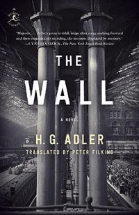 Cover image for The Wall: A Novel