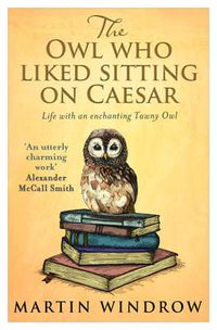 Cover image for The Owl Who Liked Sitting on Caesar