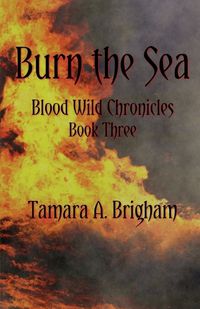 Cover image for Burn the Sea