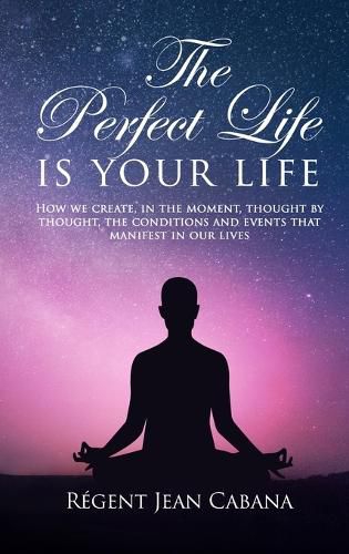 Cover image for THE PERFECT LIFE Is Your Life