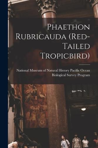 Cover image for Phaethon Rubricauda (red-tailed Tropicbird)