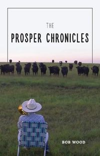 Cover image for The Prosper Chronicles