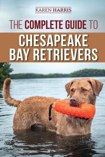 Cover image for The Complete Guide to Chesapeake Bay Retrievers: Training, Socializing, Feeding, Exercising, Caring for, and Loving Your New Chessie Puppy