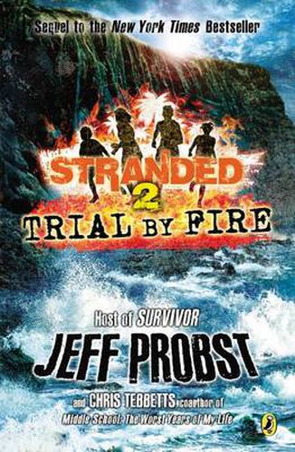 Cover image for Trial by Fire