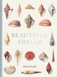 Cover image for Beautiful Shells