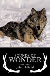 Cover image for Sounds of Wonder