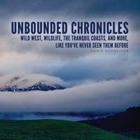 Cover image for Unbounded Chronicles